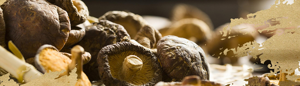 c32edf9c7af5bae70aa1ff2ae2962e45.jpg c32edf9c7af5bae70aa1ff2ae2962e45.jpg